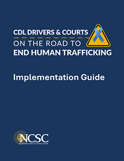 Implementation Guide Thumbnail